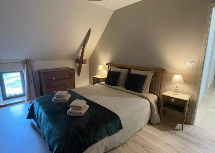 Grande Renovee Avec Piscine * Felzins